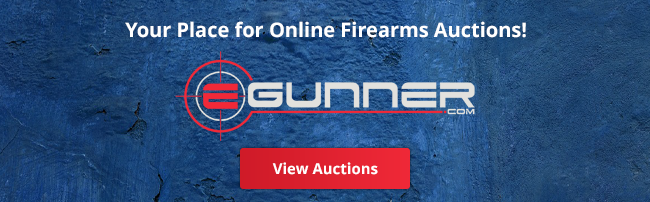 eGunner Banner Large - 1