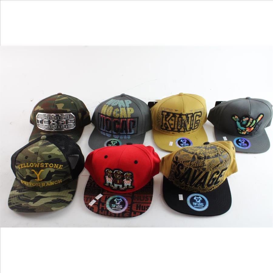 Cambridge & Top Level Snapbacks, 7 Pieces Property Room
