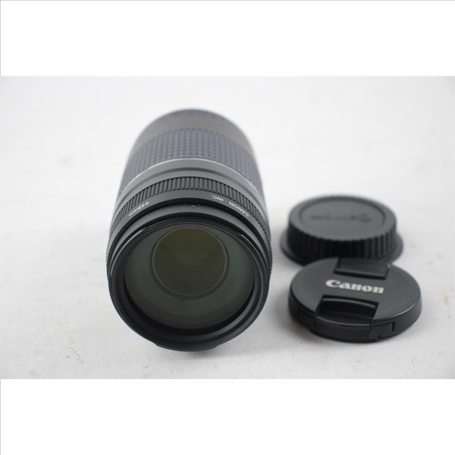 Canon 75-300mm Lens | Property Room