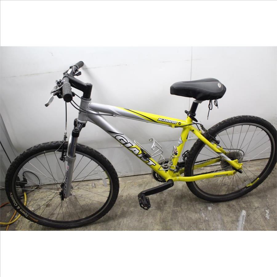 Giant Iguana Mountain Bike Property Room