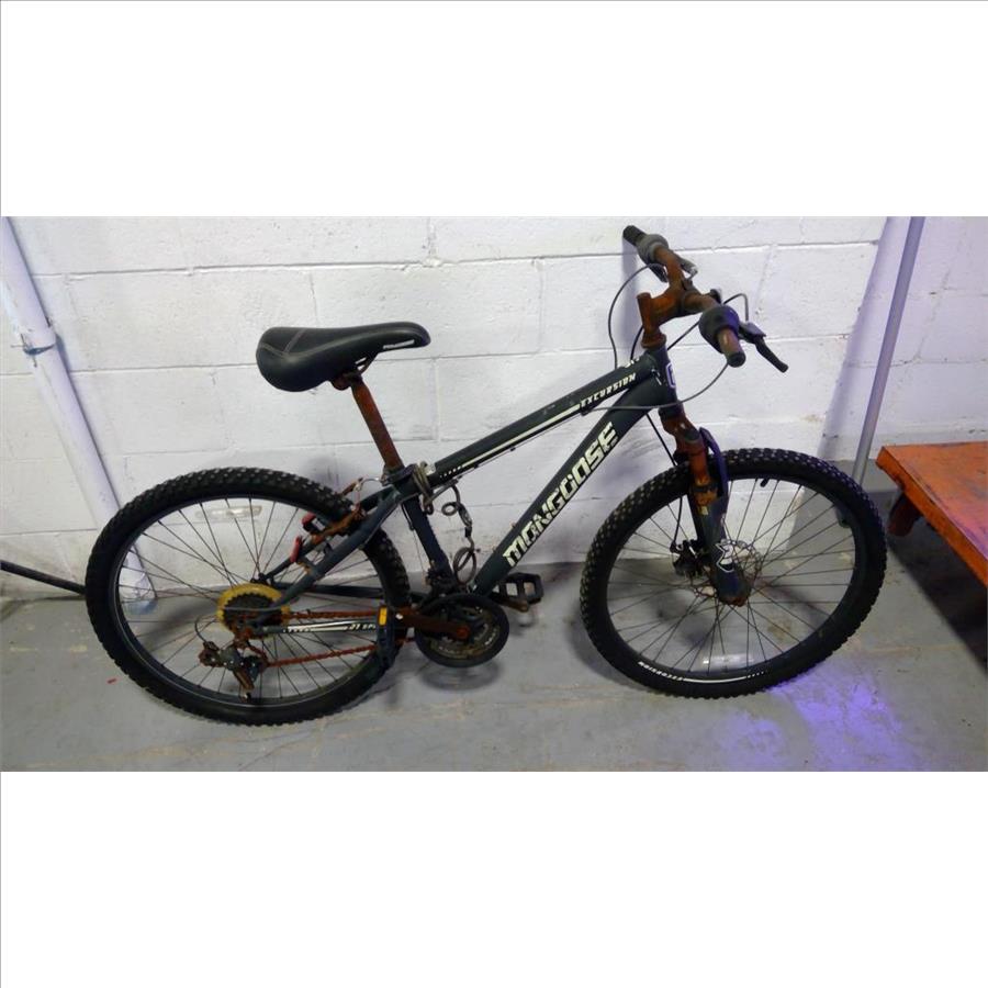 Mongoose Hybrid Bike