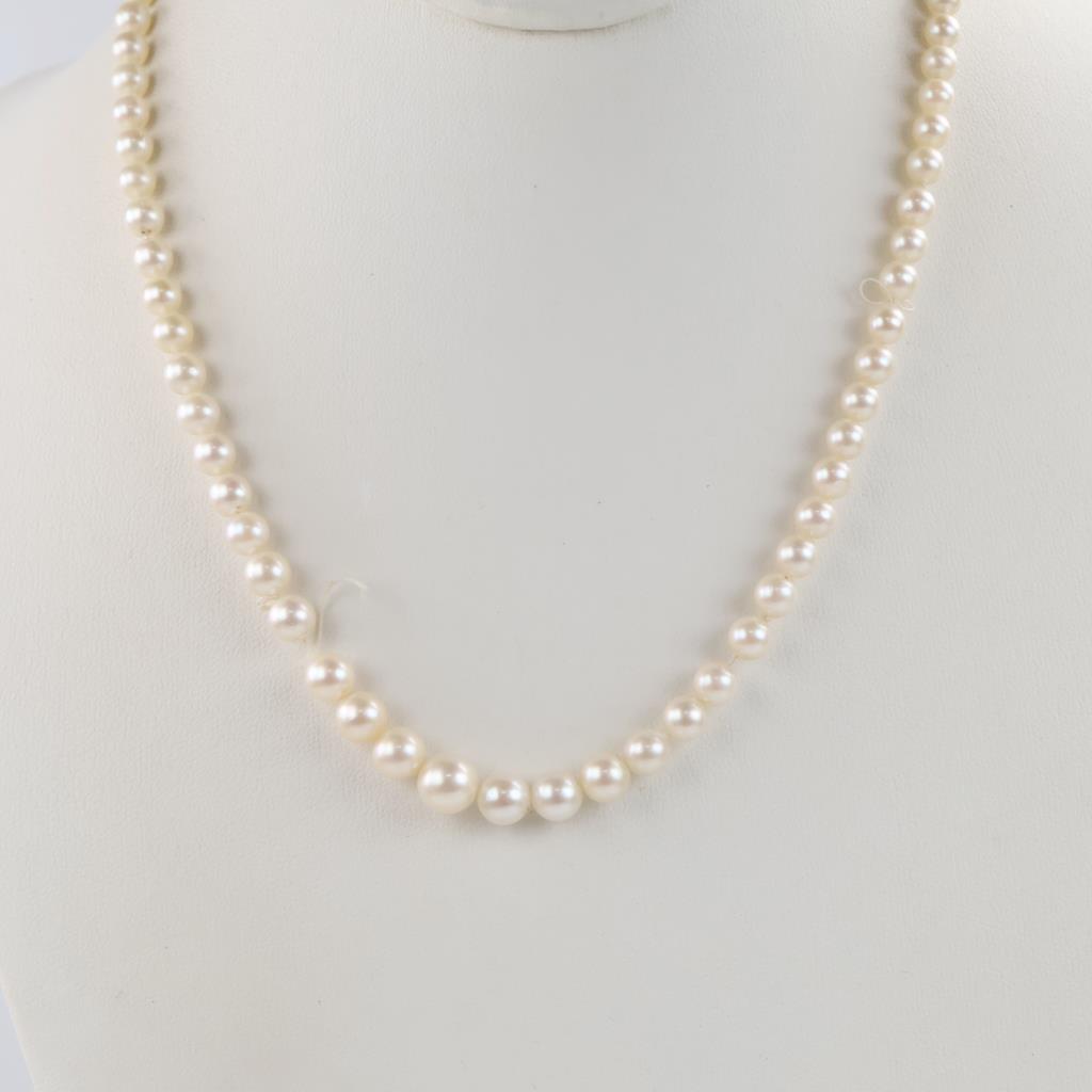 Pearl Necklace With 10kt GF Clasp