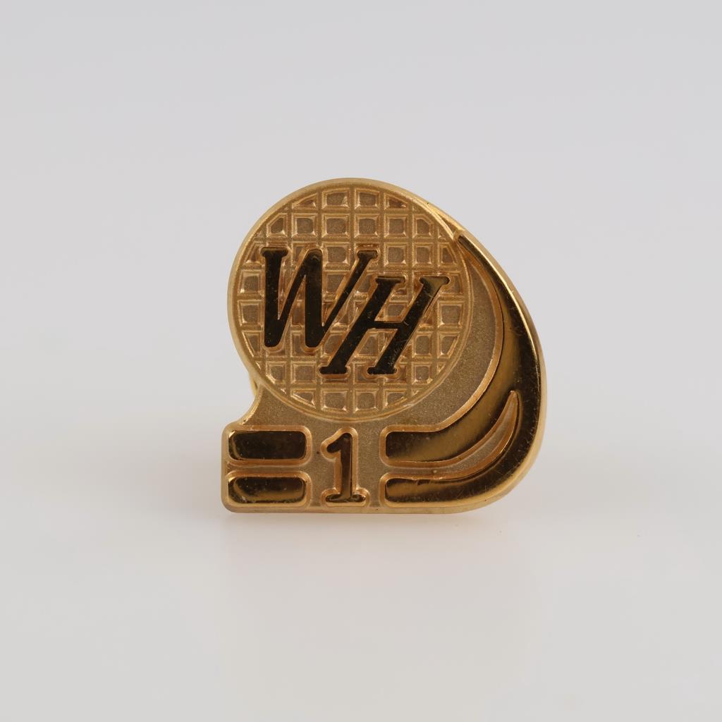 10kt GF Pin