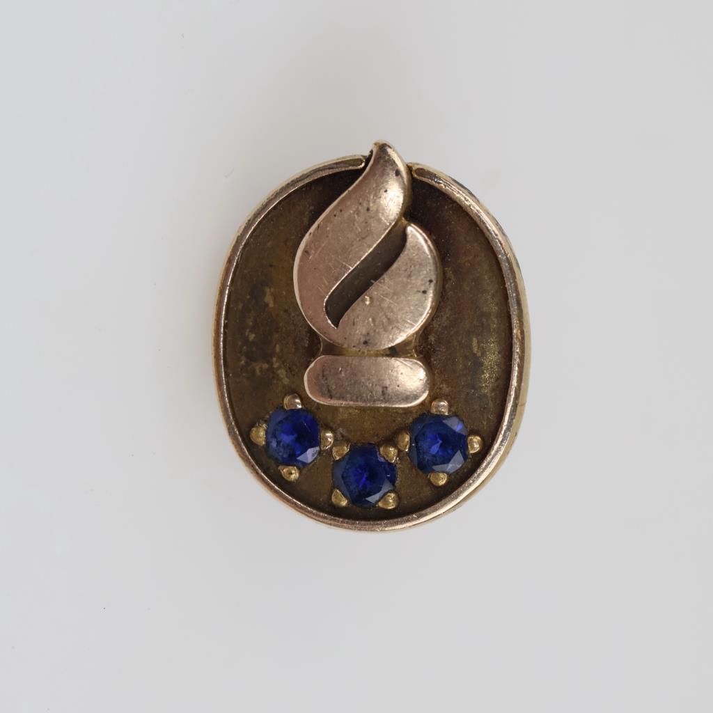 10kt Gold Blue Stone Lapel Pin