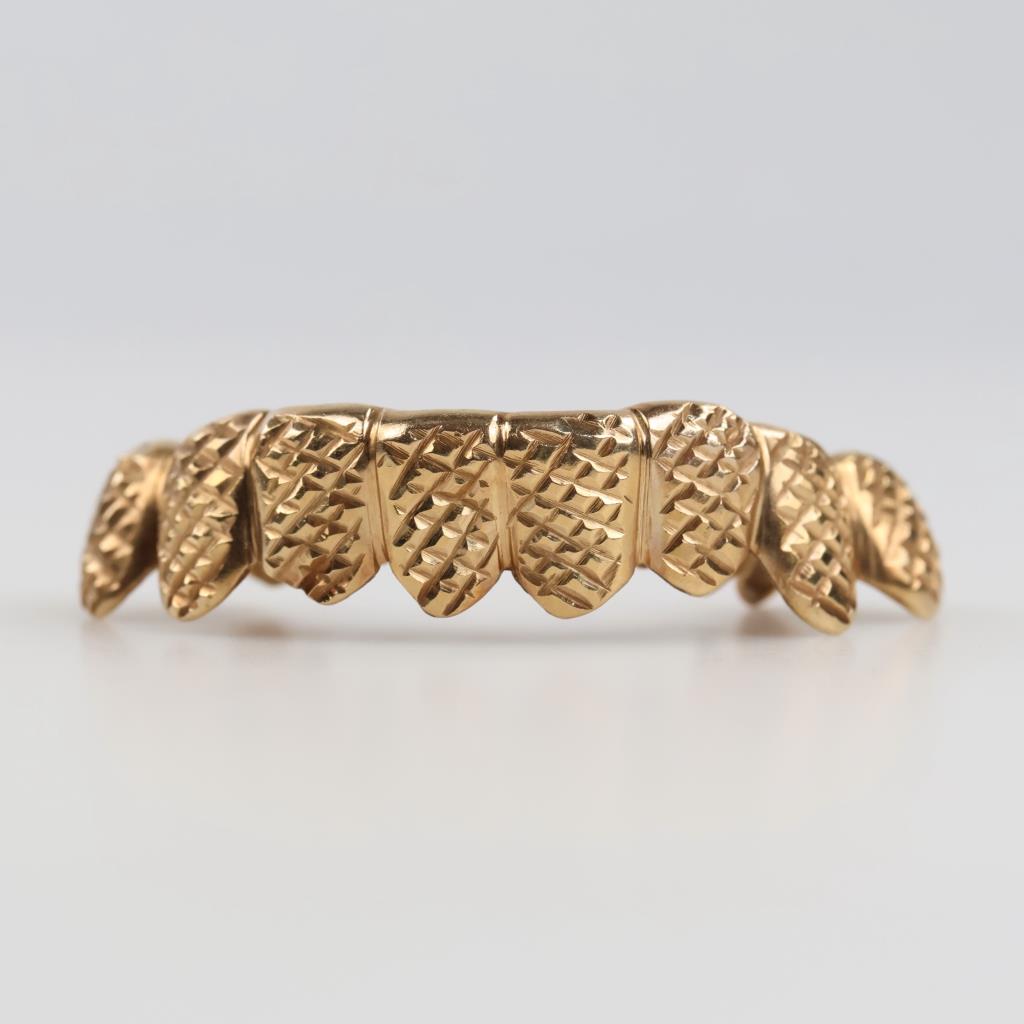 10kt Gold Dental Grill