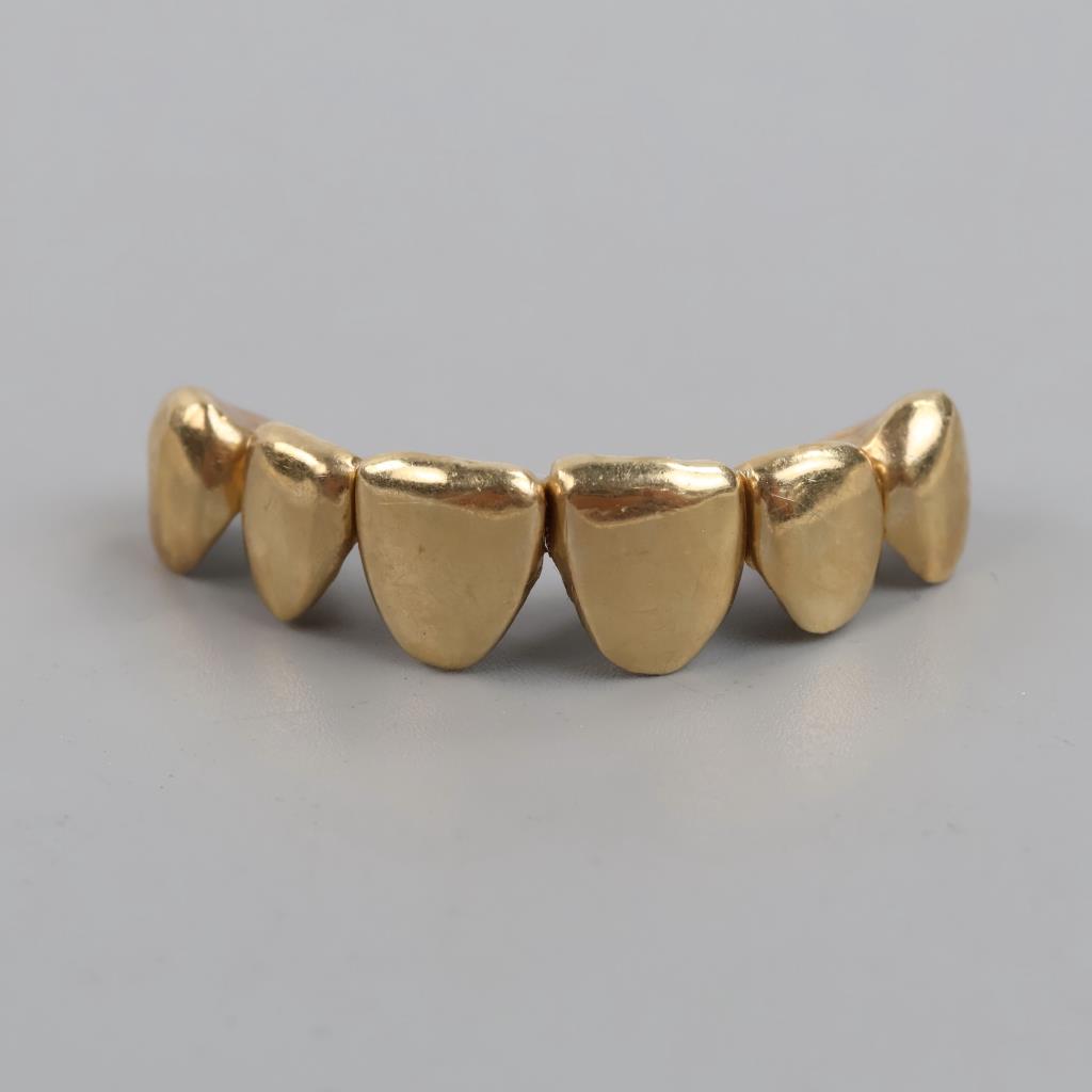 10kt Gold Dental Grill