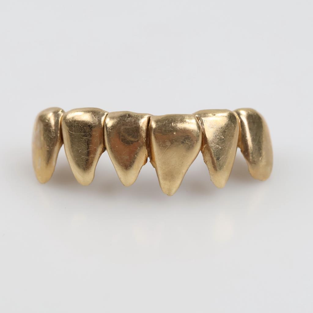 10kt Gold Dental Grill