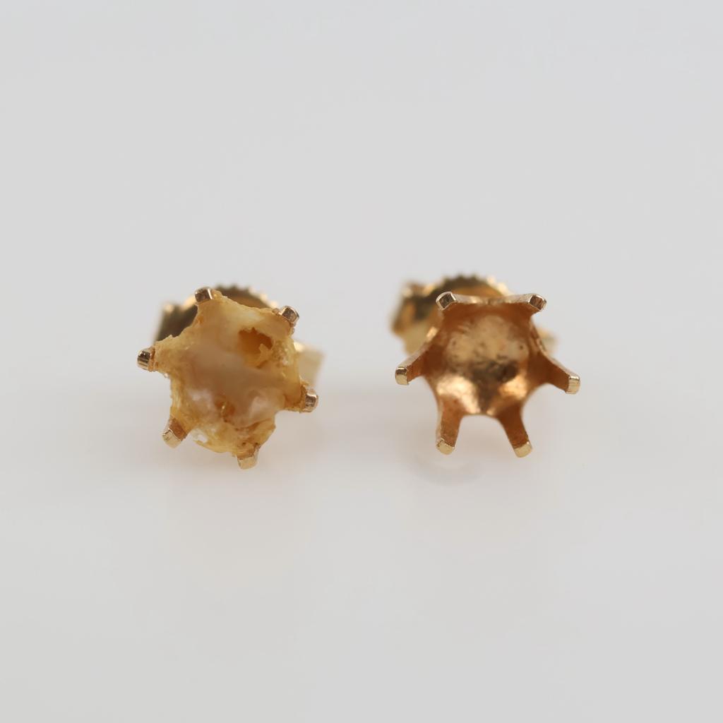 10kt Gold Earrings