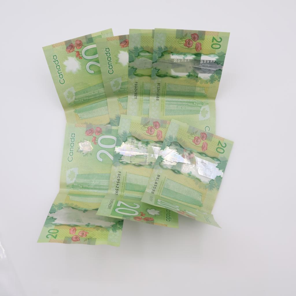 140-canadian-dollars-property-room