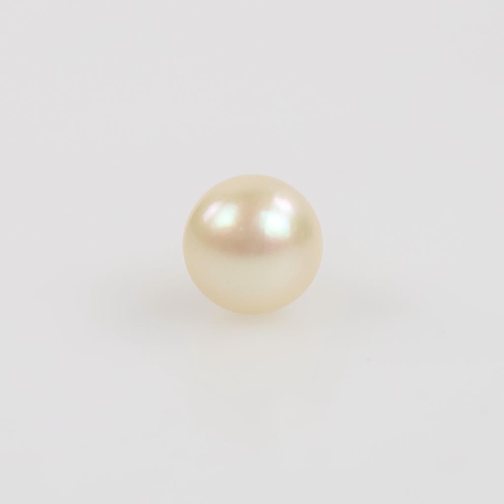 14kt Gold Pearl Single Earring