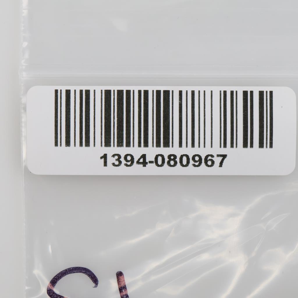 1921 Morgan Silver Dollar