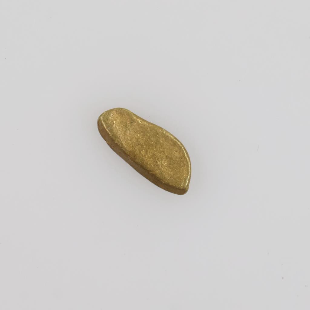22kt Gold Piece