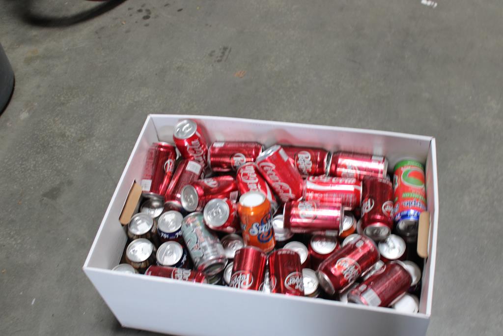 50+ Soda Can Hidden Safes