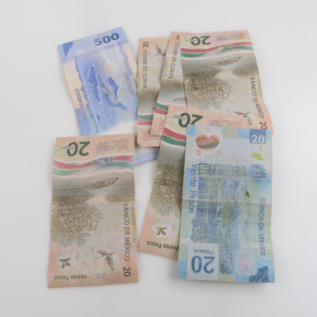 600 Mexican Pesos