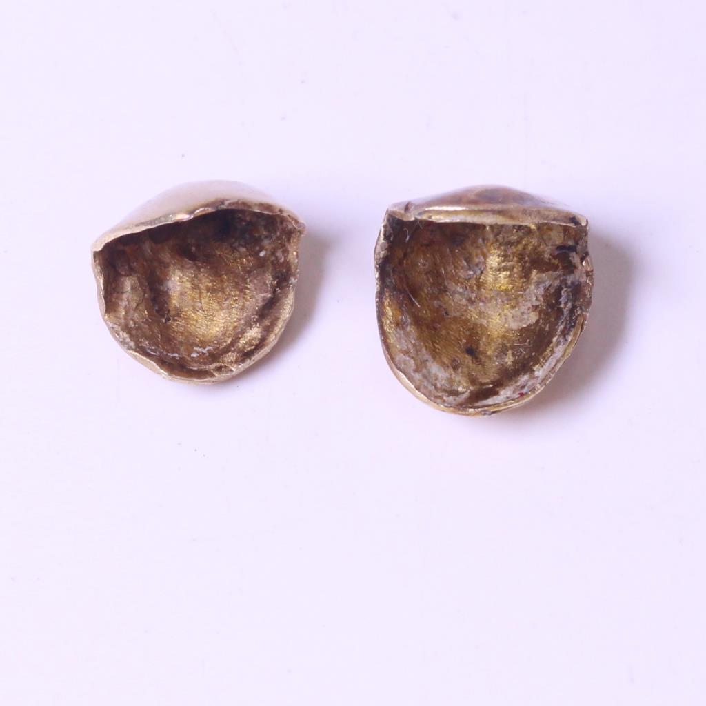 9kt Gold 2g Pair Of Dental Caps Property Room