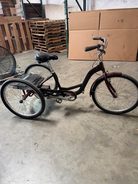 Adult Tricycle Bike