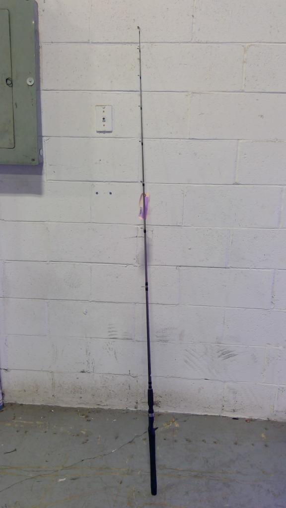 Angler Fishing Pole