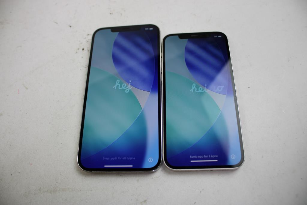 Apple IPhone Lot, 2 Pieces  Sold For Parts