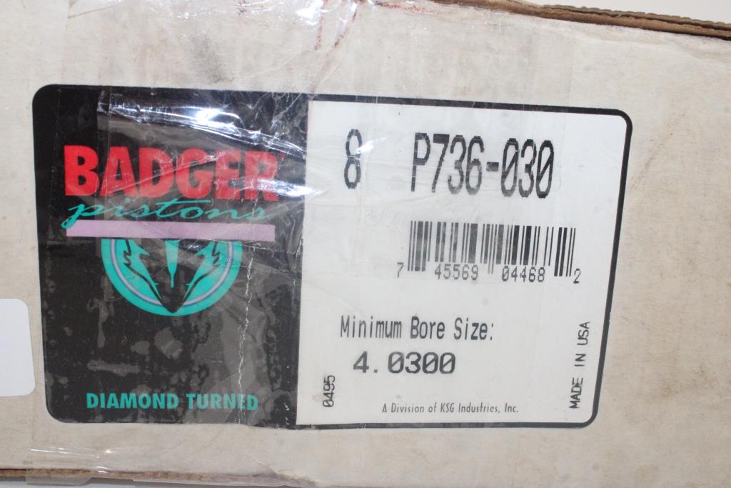 Badger Pistons P736030 Cyl Piston Set Property Room