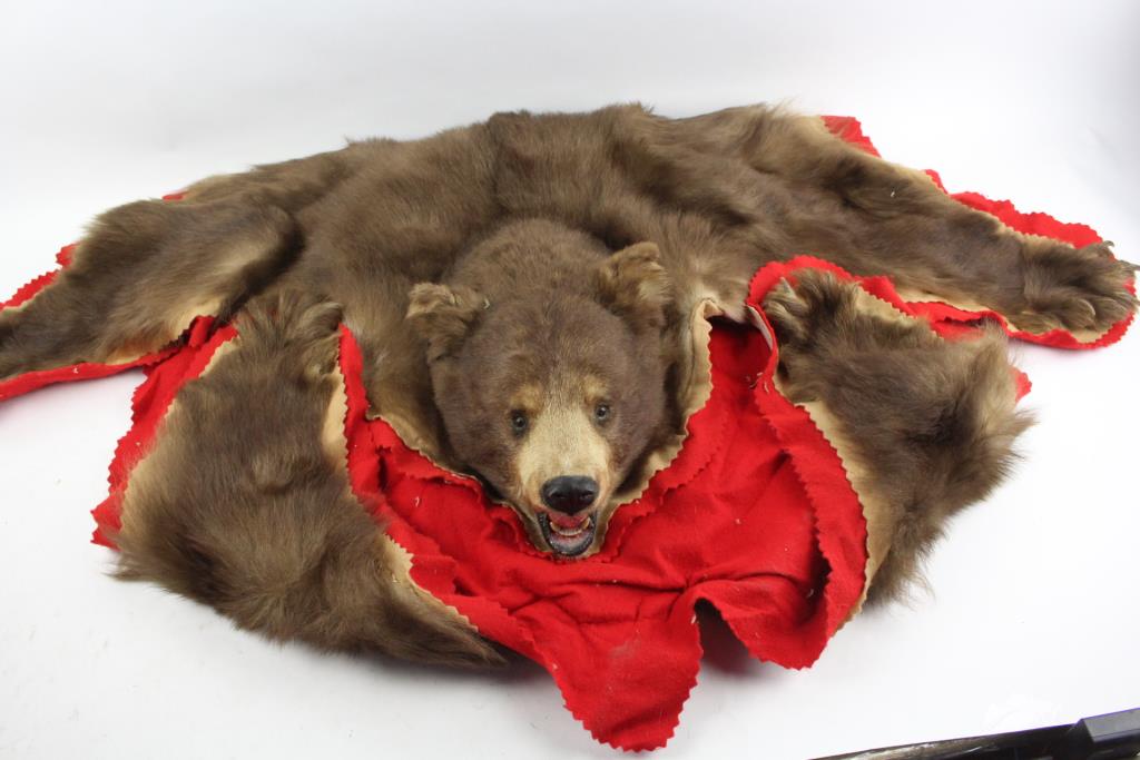 Bear Skin Rug | Property Room