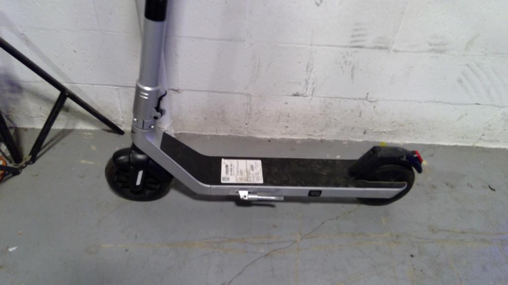 Bird Electronic Scooter