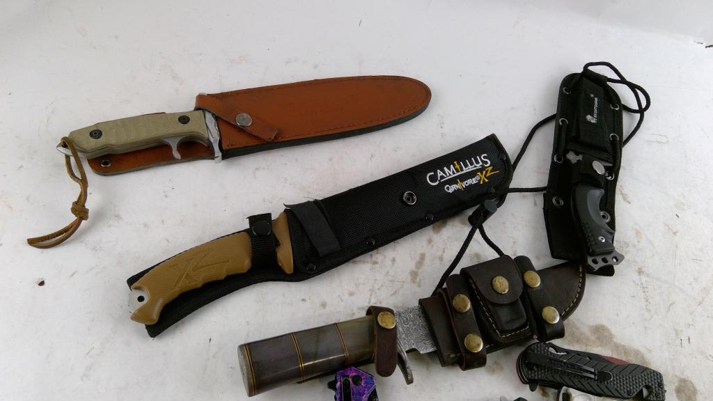 Bulk Knifes 5+ Pieces