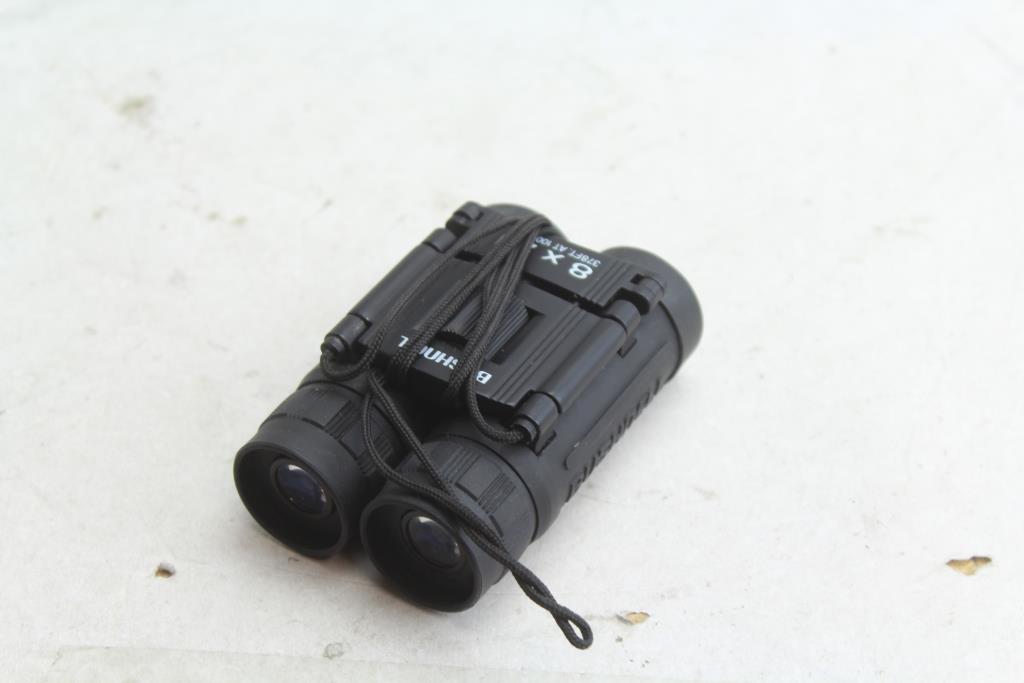 bushnell binoculars 8x21
