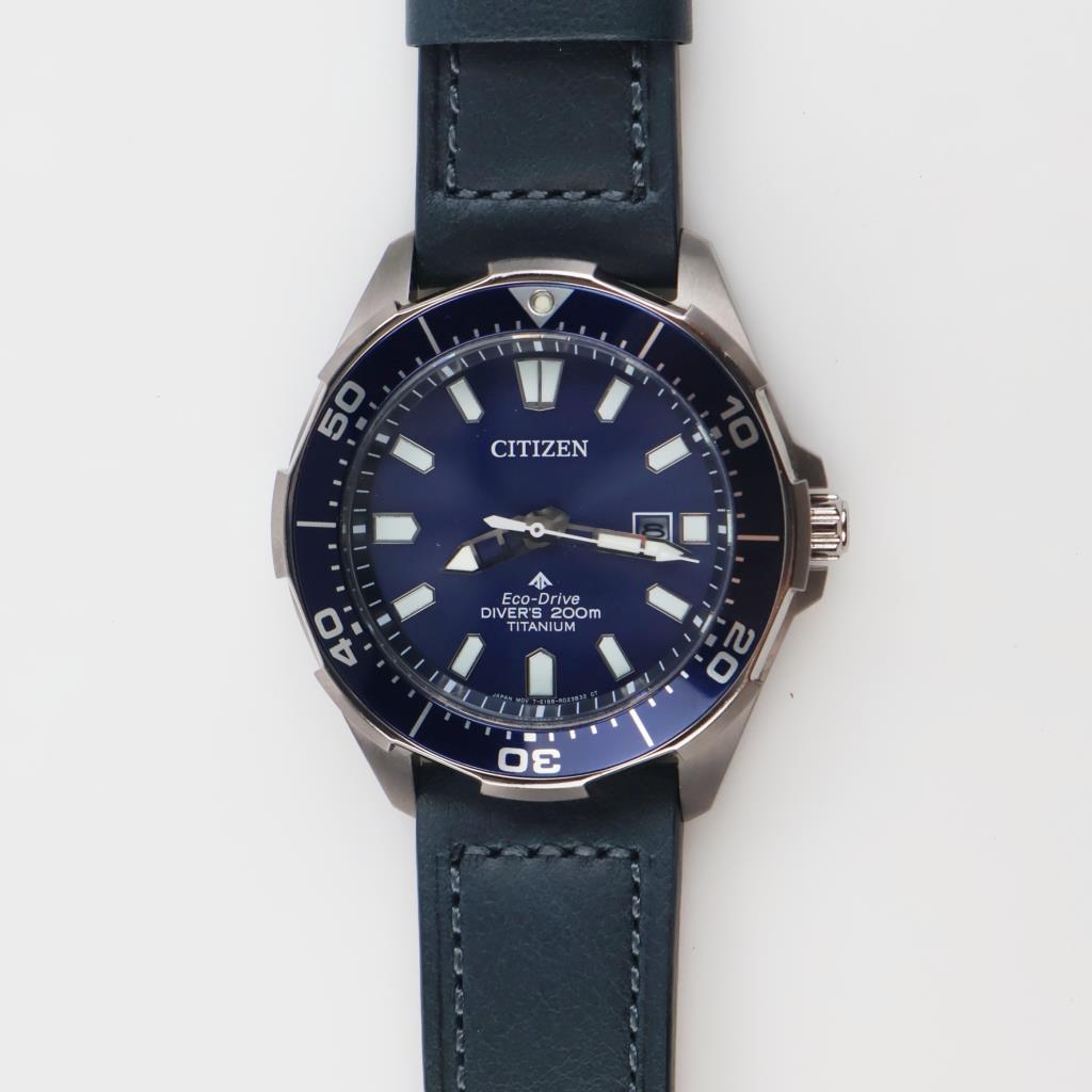 Citizen Eco-Drive Promaster Dive Watch