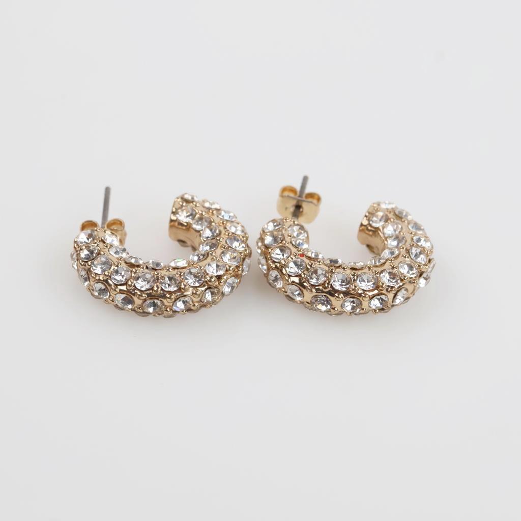 Clear Stone Fashion Hoop Earrings