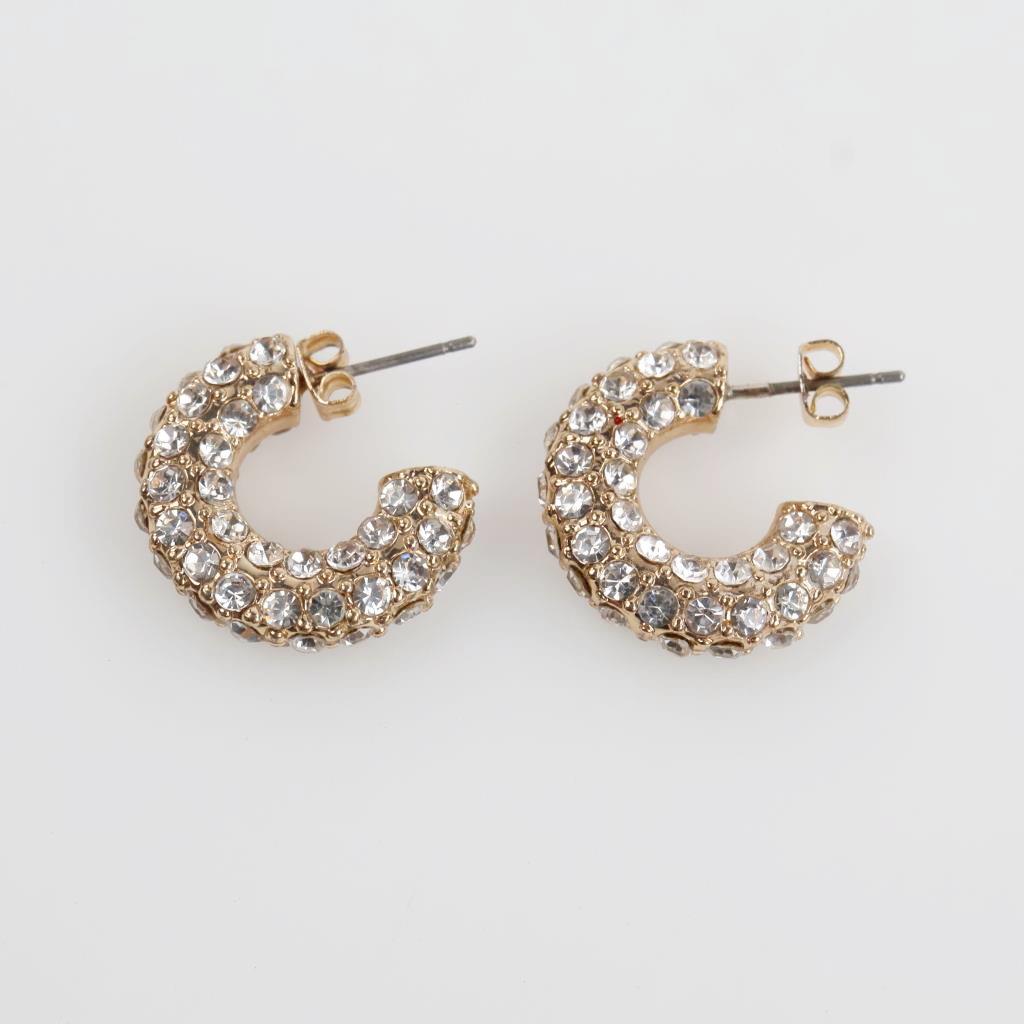 Clear Stone Fashion Hoop Earrings
