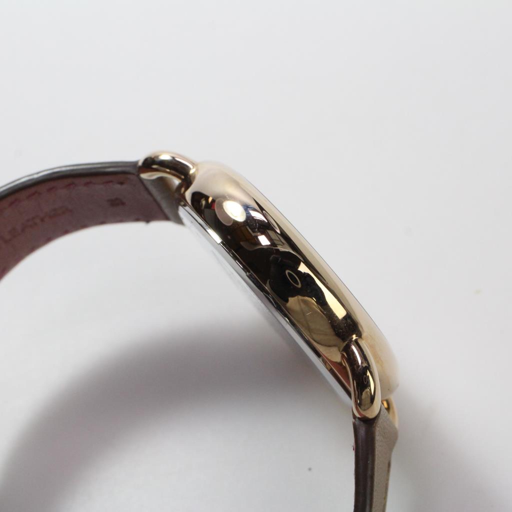 coach dinosaur watch