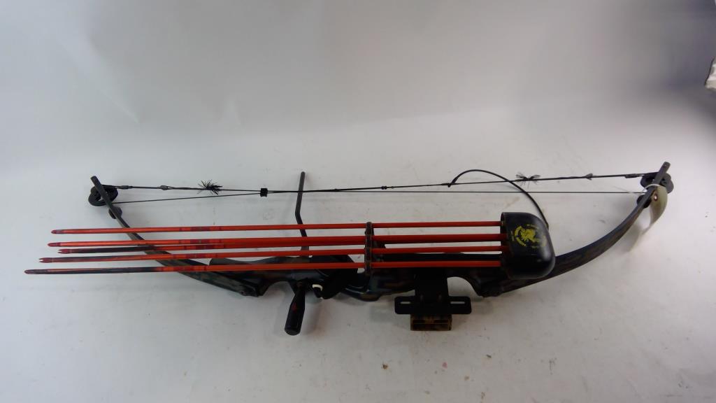 Compound Bow