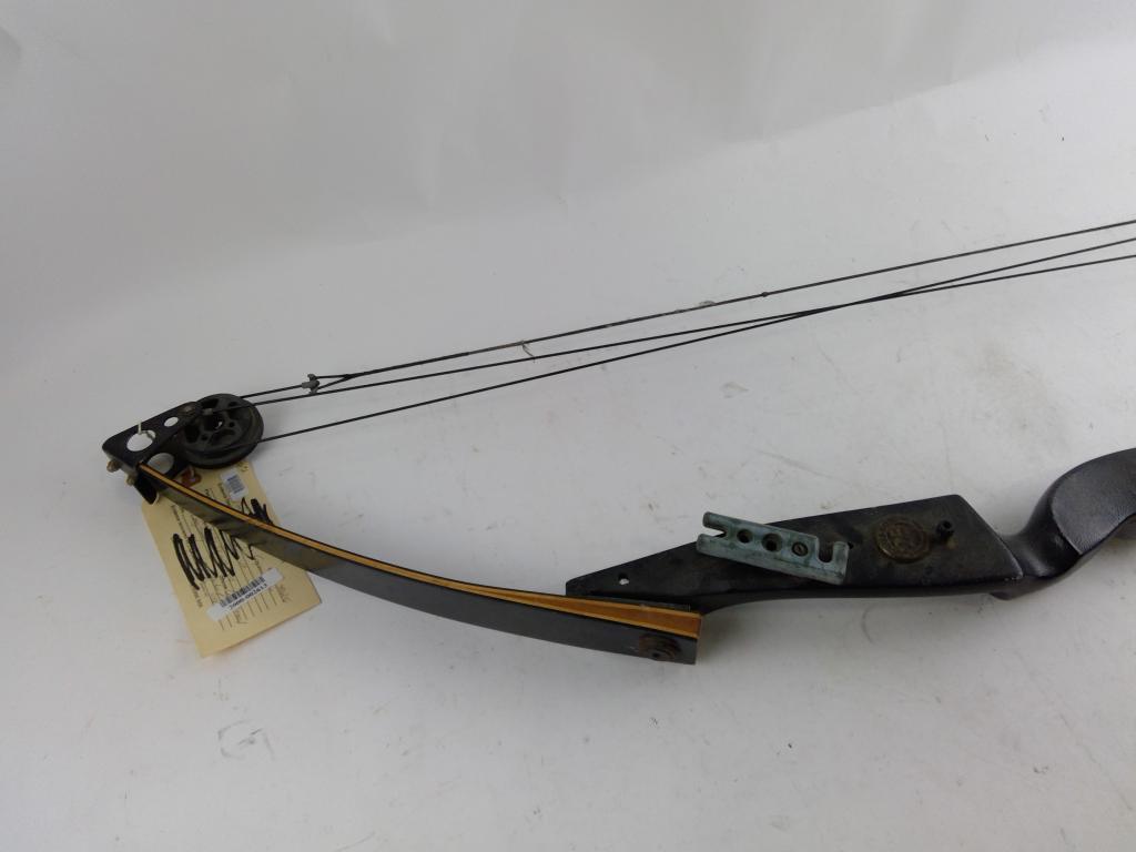 Compound Bow