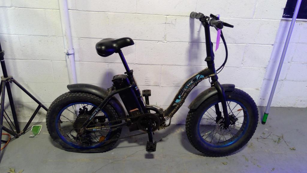 Dolphin Ecotric E-Bike
