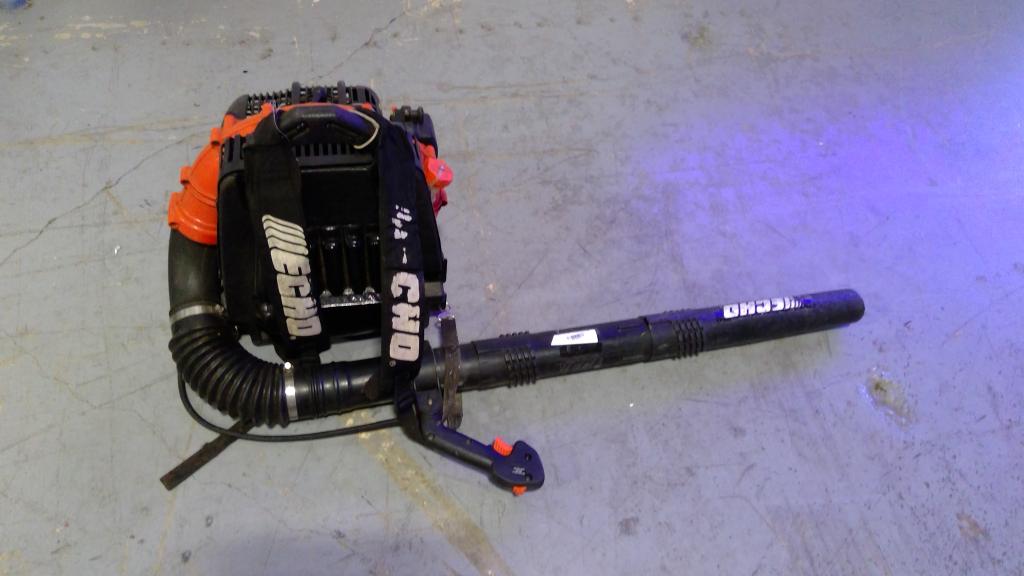 Echo Backpack Blower