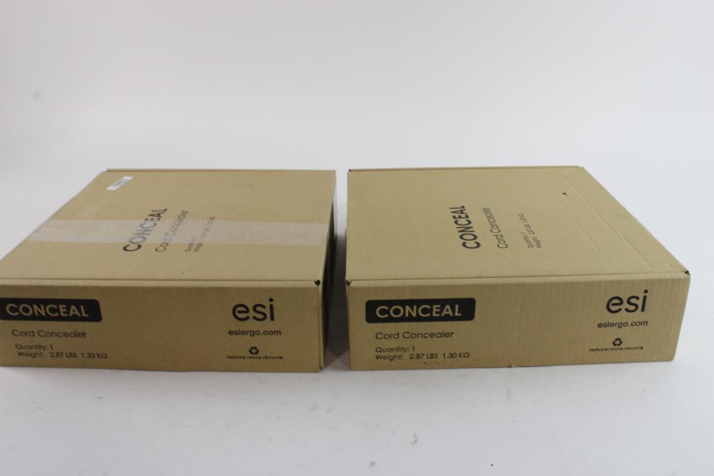 ESI Cord Concealers, 2 Pieces Property Room
