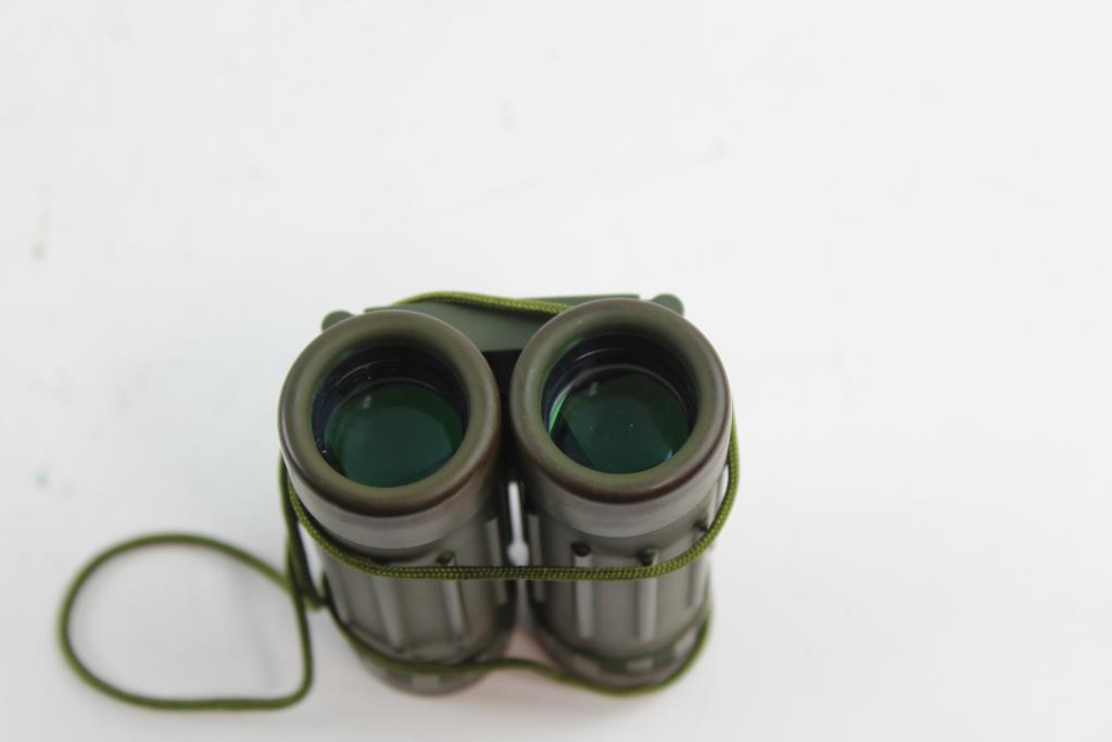focal binoculars
