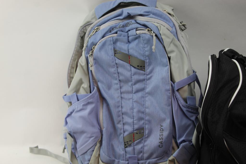 eddie bauer cassidy backpack