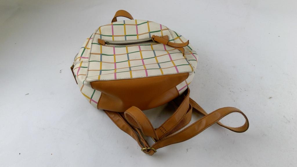 Fossil Backpack