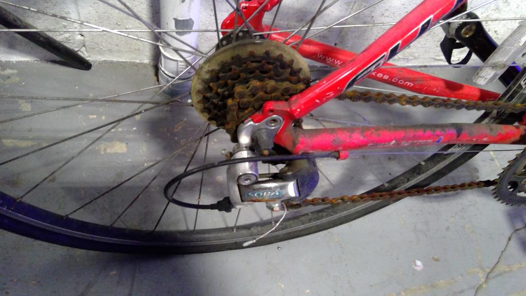 Fuji Road Bike