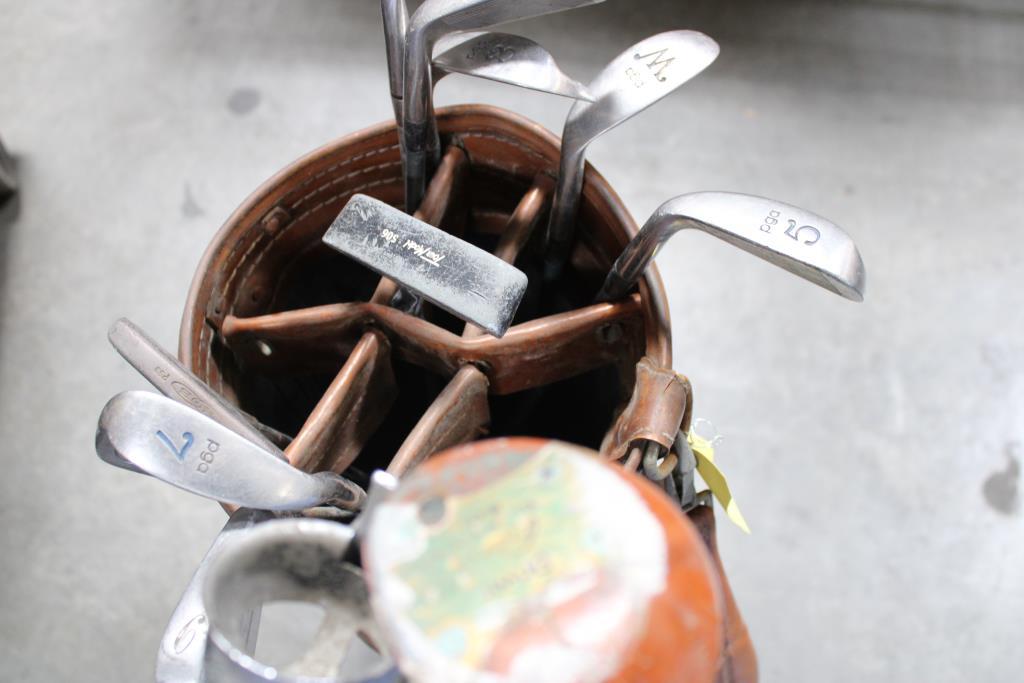 Golf Bag With True Temper, Tru-Flite, And More Mixed Golf Clubs, 11 Pieces