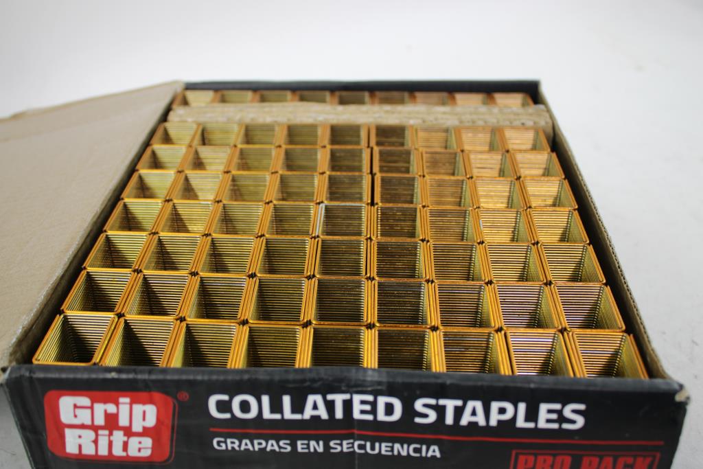 Grip Rite Collated Staples "P" Style Wide Crown Staple 10,000 Pieces