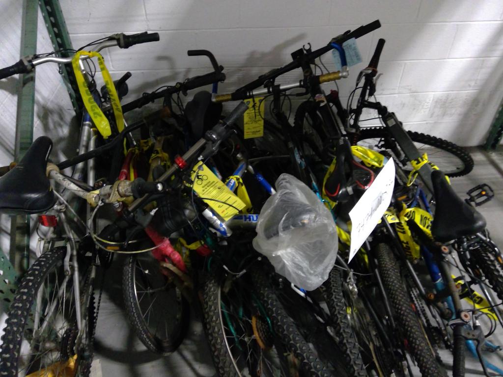 Group Of 10 Used Bikes
