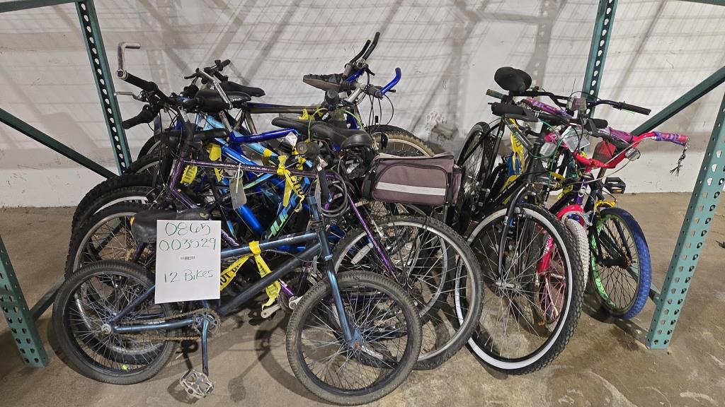 Group Of 12 Used Bikes