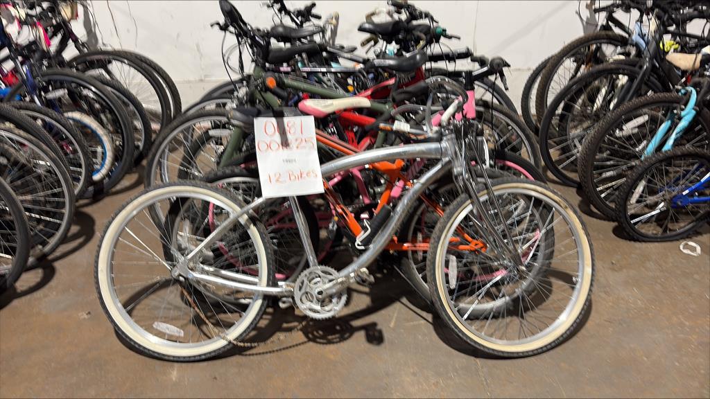 Group Of 12 Used Bikes