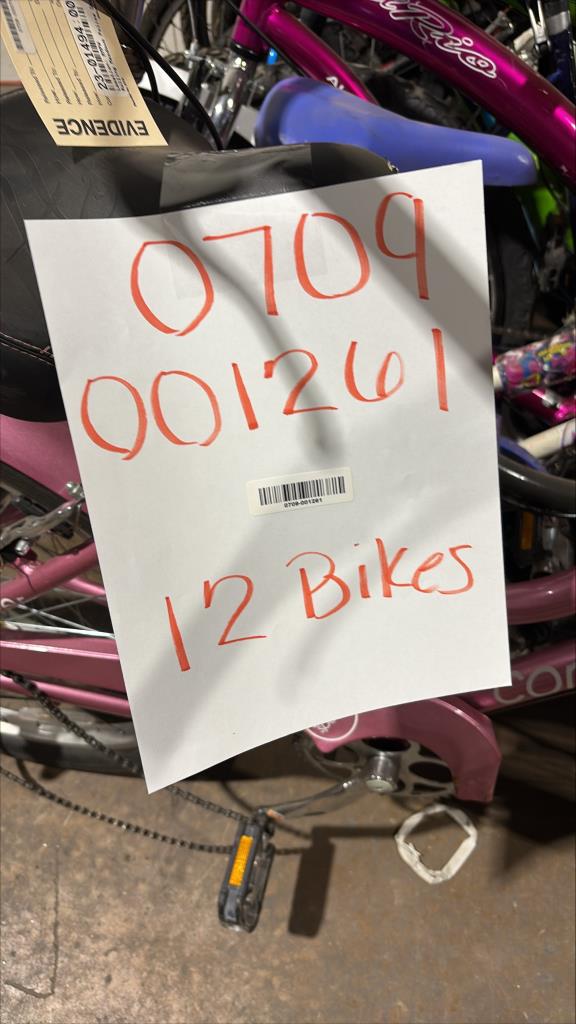 Group Of 12 Used Bikes