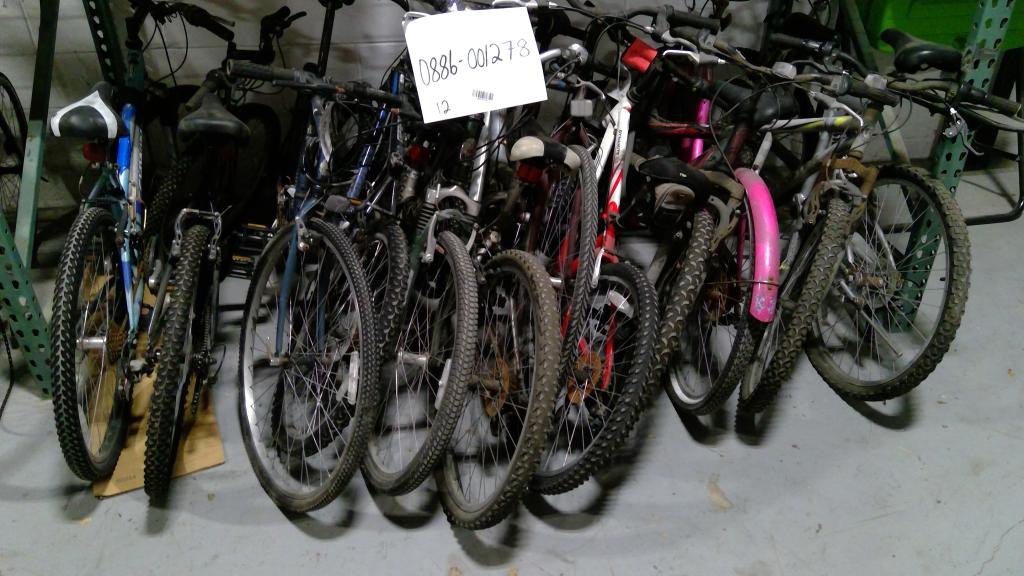 Group Of 12 Used Bikes