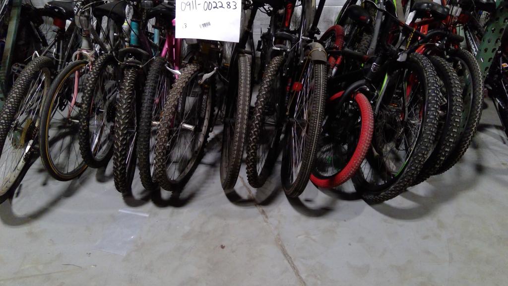 Group Of 13 Used Bikes
