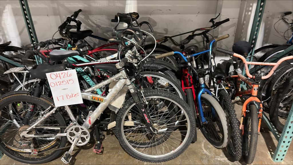 Group Of 17 Used Bikes