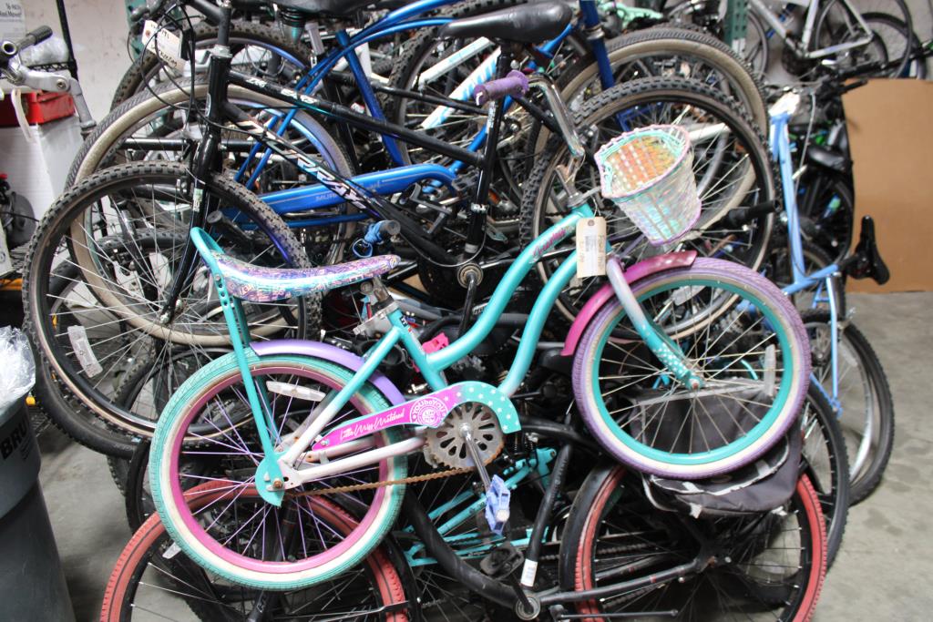 Group Of 20 Used Bikes